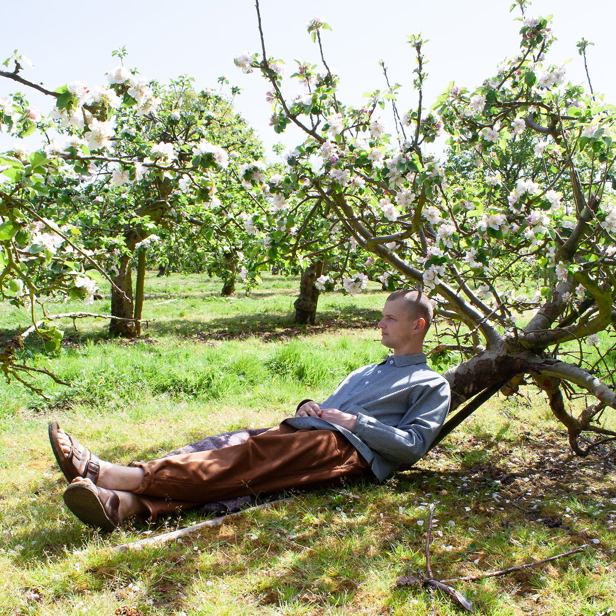 Overshirt - Huckleberry cotton
